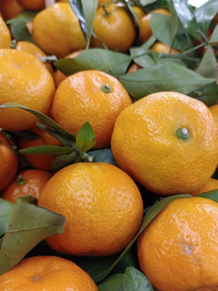 Обзор vivo T2: мы тебя узнали!