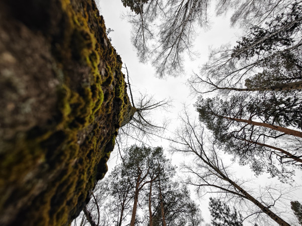 Обзор Xiaomi 14 Pro: титан верхом на драконе!