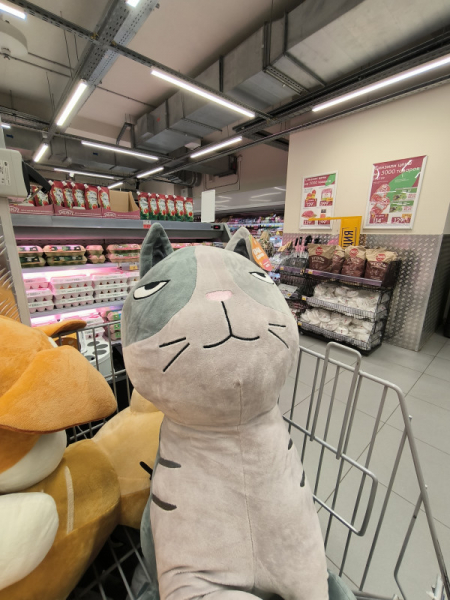 Обзор Xiaomi 13T и 13T Pro: работяги на Dimensity