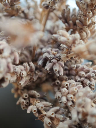 Обзор Xiaomi 14 Pro: титан верхом на драконе!