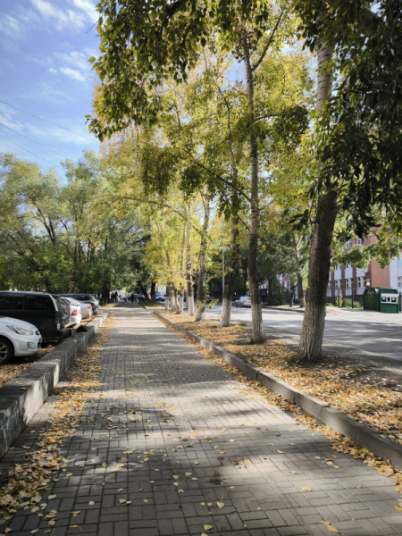 Обзор Xiaomi 13T и 13T Pro: работяги на Dimensity