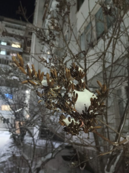 Обзор vivo T2: мы тебя узнали!