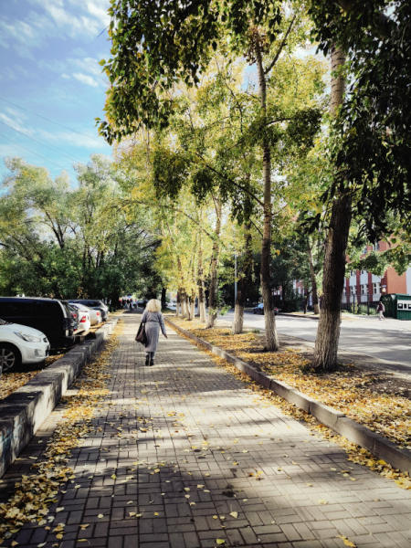 Обзор Xiaomi 13T и 13T Pro: работяги на Dimensity