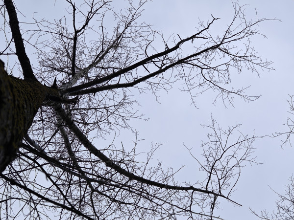 Обзор Xiaomi 14 Pro: титан верхом на драконе!