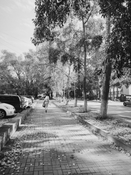 Обзор Xiaomi 13T и 13T Pro: работяги на Dimensity