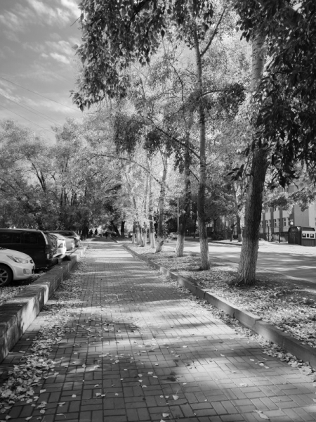 Обзор Xiaomi 13T и 13T Pro: работяги на Dimensity