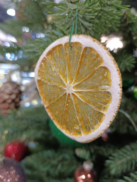 Обзор vivo T2: мы тебя узнали!