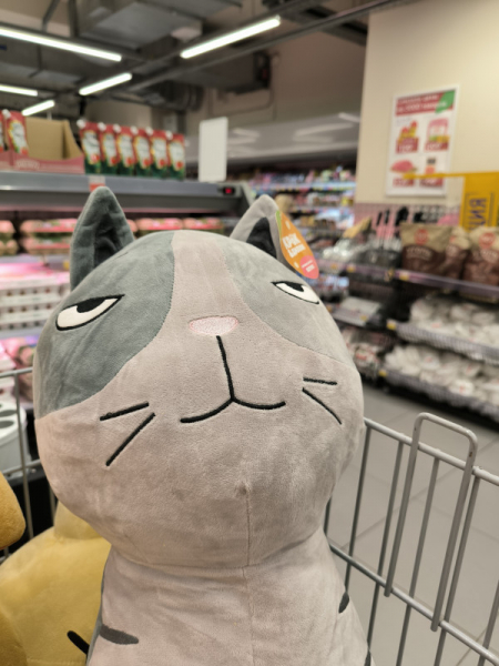 Обзор Xiaomi 13T и 13T Pro: работяги на Dimensity