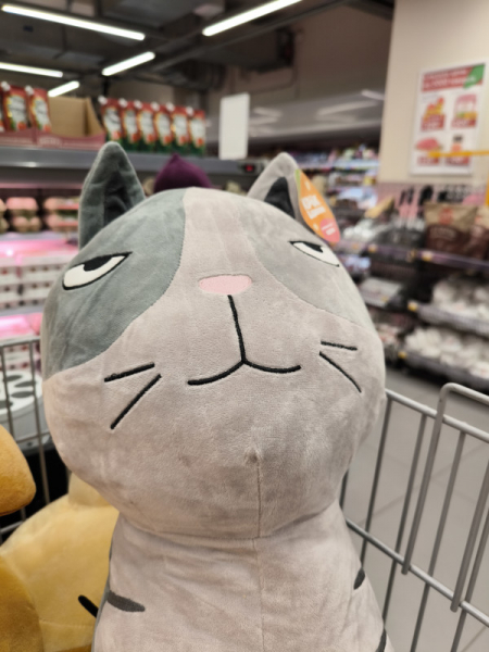 Обзор Xiaomi 13T и 13T Pro: работяги на Dimensity