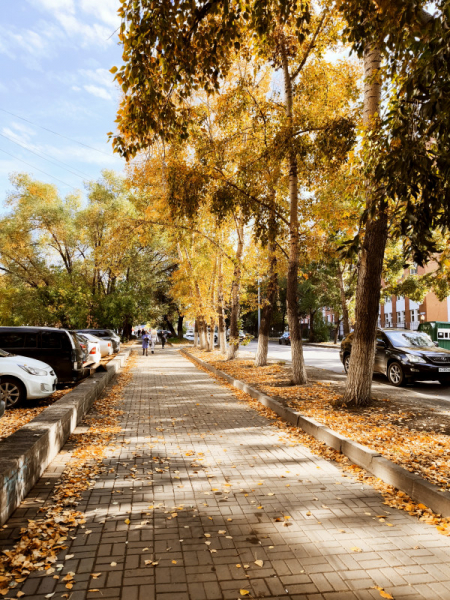 Обзор Xiaomi 13T и 13T Pro: работяги на Dimensity