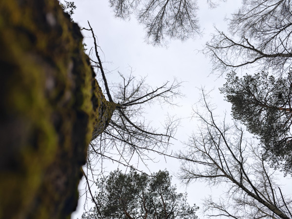 Обзор Xiaomi 14 Pro: титан верхом на драконе!