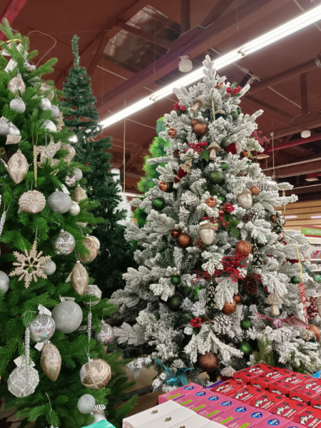 Обзор vivo T2: мы тебя узнали!