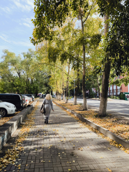 Обзор Xiaomi 13T и 13T Pro: работяги на Dimensity