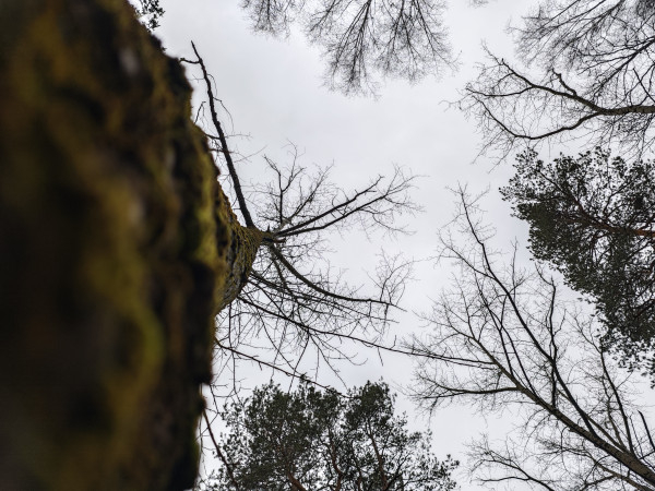 Обзор Xiaomi 14 Pro: титан верхом на драконе!