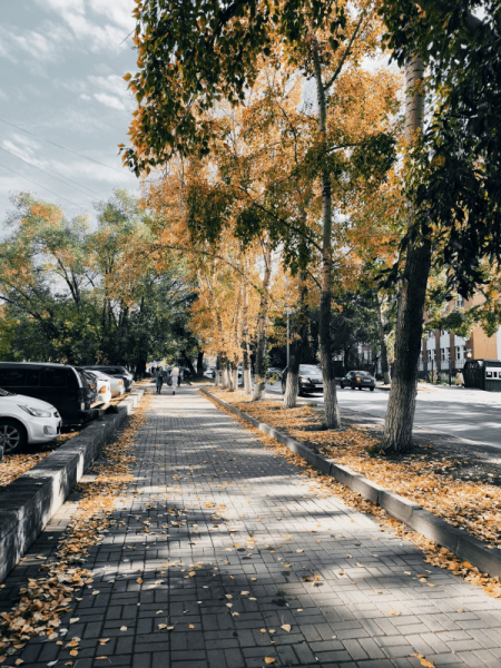 Обзор Xiaomi 13T и 13T Pro: работяги на Dimensity