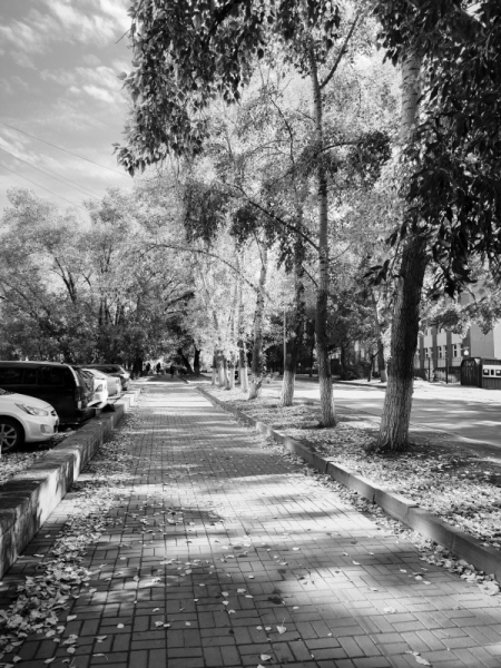 Обзор Xiaomi 13T и 13T Pro: работяги на Dimensity