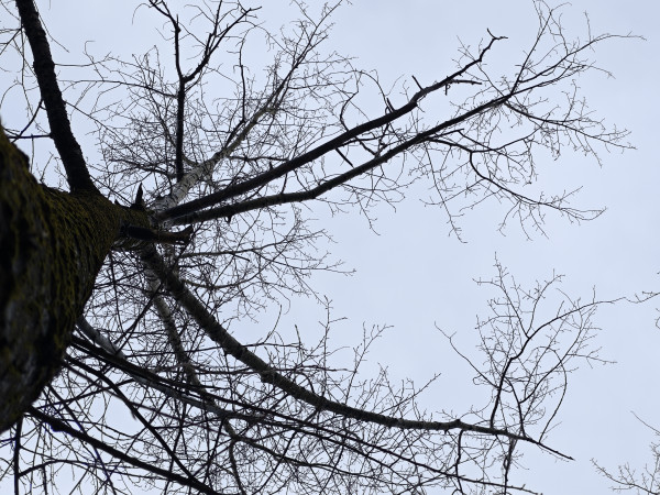 Обзор Xiaomi 14 Pro: титан верхом на драконе!