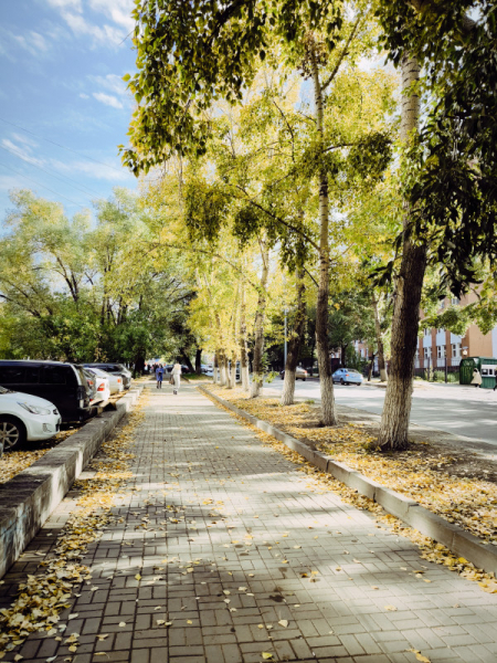 Обзор Xiaomi 13T и 13T Pro: работяги на Dimensity