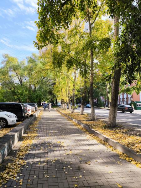 Обзор Xiaomi 13T и 13T Pro: работяги на Dimensity