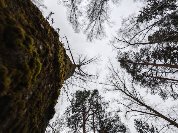 Обзор Xiaomi 14 Pro: титан верхом на драконе!