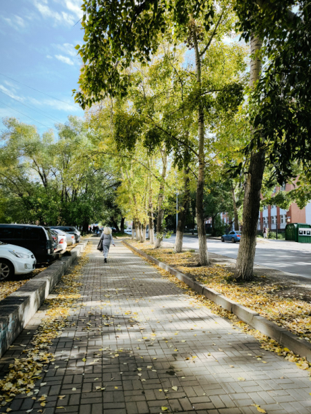 Обзор Xiaomi 13T и 13T Pro: работяги на Dimensity