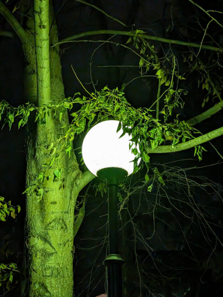 Обзор Pixel 8 и Pixel 8 Pro: очень много нейросетей