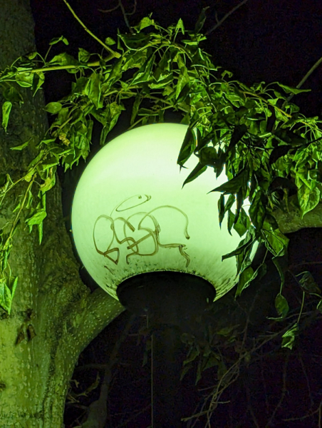 Обзор Pixel 8 и Pixel 8 Pro: очень много нейросетей