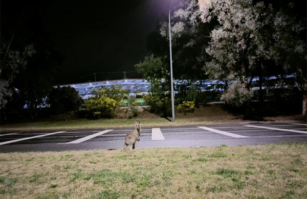 Обзор Nokia XR21: лёгкого и прочного смартфона со стильным дизайном Обзор Nokia XR21: лёгкого и прочного смартфона со стильным дизайном