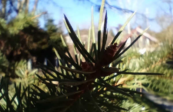 Обзор Tecno Spark 20 Pro: богатого на функции смартфона за невысокую цену Обзор Tecno Spark 20 Pro: богатого на функции смартфона за невысокую цену