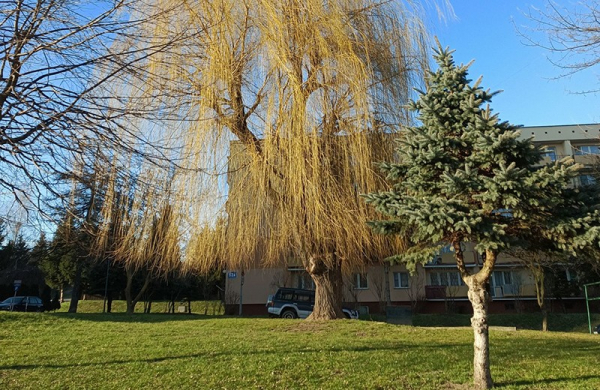 Обзор Tecno Spark 20 Pro: богатого на функции смартфона за невысокую цену Обзор Tecno Spark 20 Pro: богатого на функции смартфона за невысокую цену