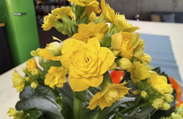 Обзор Samsung Galaxy A25 5G: доступного смартфона с AMOLED-экраном для видео и игр Обзор Samsung Galaxy A25 5G: доступного смартфона с AMOLED-экраном для видео и игр